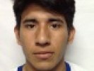 /arquivos/pessoas/172930110313Ronaldo Xibebum_133_100.jpg